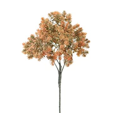 Deko Sedum rubrotinctum NIRMALA, Steckstab, orange-grün, 40cm