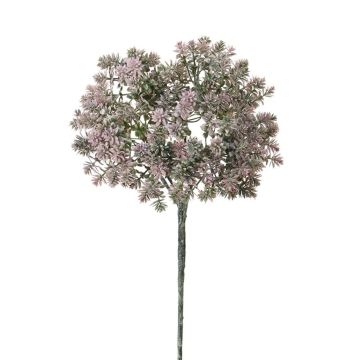Deko Sedum rubrotinctum NIRMALA, Steckstab, violett-grün, 40cm