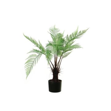 Künstliche Pflanze Baumfarn DALIAN, Kunststamm, grün, 80cm