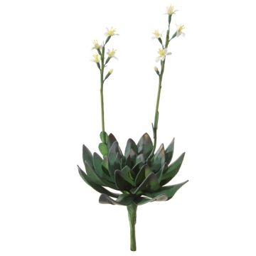 Kunst Sukkulente Aeonium LILKA mit Blüten, Steckstab, grün-weiß, 35cm