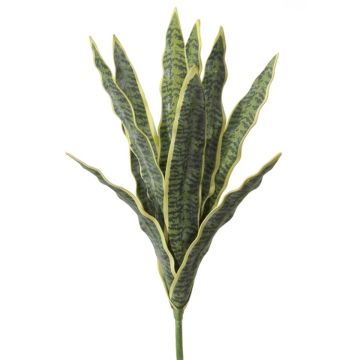 Deko Pflanze Bogenhanf LIVIANA, Steckstab, grün-gelb, 50cm