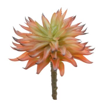 Künstliche Sukkulente Echeveria elegans LUGA, Steckstab, orange-grün, 16cm