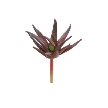 Kunst Agave decipiens KIANU, Steckstab, burgunderrot-grün, 9cm Kunst Agave decipiens KIANU, Steckstab, burgunderrot-grün, 9cm