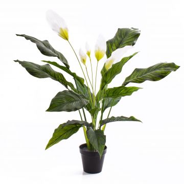 Plastik Einblatt CASY mit Blüten, im Dekotopf, weiß, 80cm
