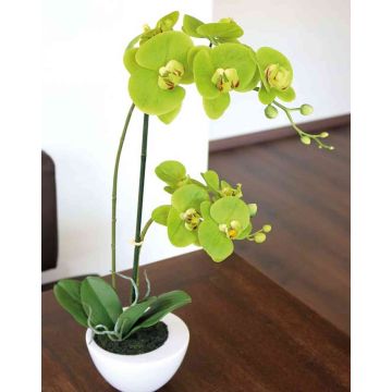 Kunst Phalaenopsis Orchidee AURELIA im Keramiktopf, grün, 55cm