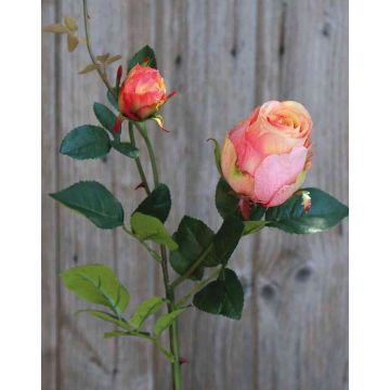 Künstliche Rose CARUSA, pink-aprikose, 80cm, Ø8cm