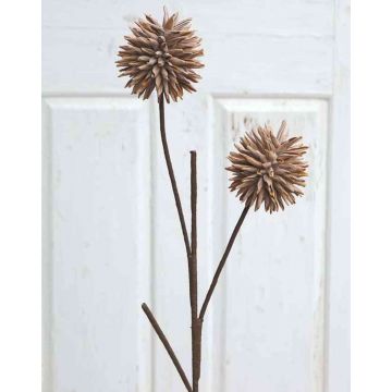 Kunststoffschaum Allium CHIRARA, braun, 95cm, Ø10cm