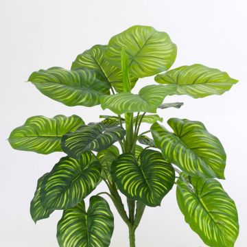 Künstliche Calathea Orbifolia ULANI auf Steckstab, grün, 45cm