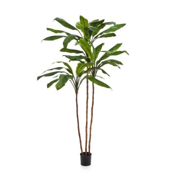Kunstpflanze Keulenlilie KAIA, Echtstämme, grün, 210cm