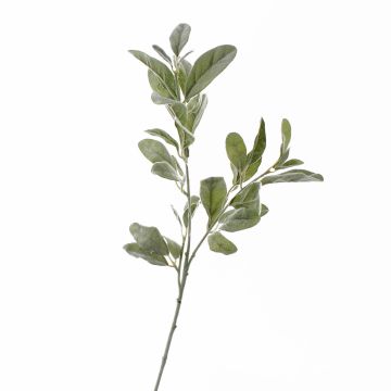 Künstlicher Wollziest Zweig LEVIN, grau-grün, 70cm