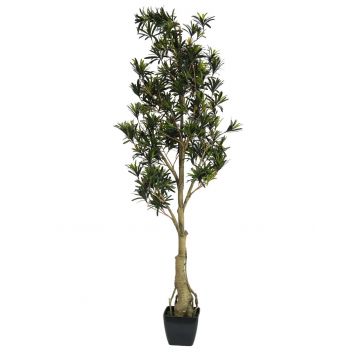 Kunststoff Podocarpus AMANDO, Kunststamm, 115cm