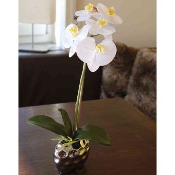 Kunstorchidee Phalaenopsis EMILIA, Keramiktopf, weiß, 45cm