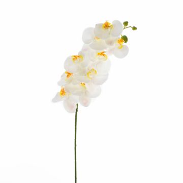 Kunstzweig Phalaenopsis Orchidee OPHELIA, weiß, 100cm