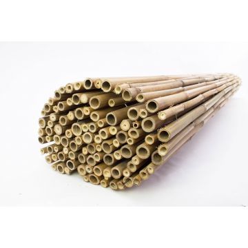 Bambusmatte JONAH aus Bambusrohren, naturfarben, 200cmx180cm