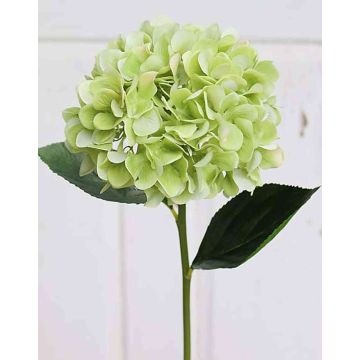Textil Hortensie TAJANA, hellgrün, 60cm, Ø17cm