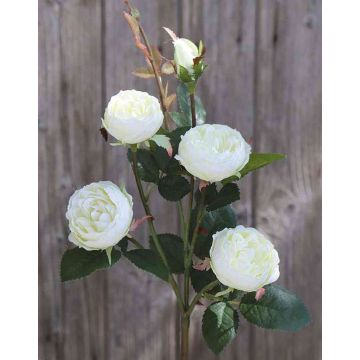 Textilblume Kohl-Rose SABSE, creme-weiß, 55cm, Ø4-5cm