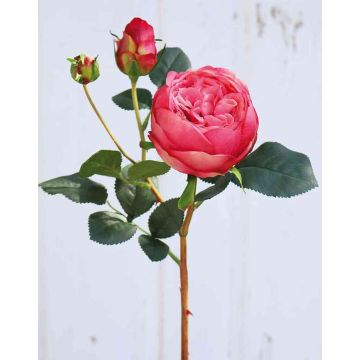 Kunst Kohl-Rose MIRETTA, pink, 60cm, Ø3-9cm