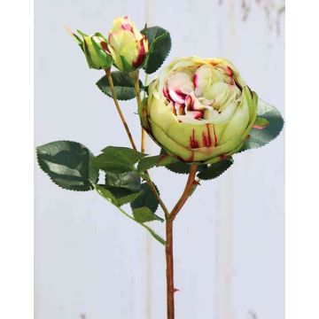 Kunst Kohl-Rose MIRETTA, grün-burgunderrot, 60cm, Ø3-9cm