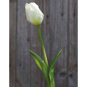 Künstliche Tulpe LONA, weiß-grün, 45cm, Ø4cm