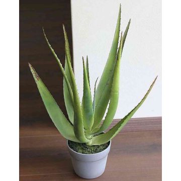 Kunststoff Aloe Vera NAMIKA im Dekotopf, grün, 50cm, Ø50cm