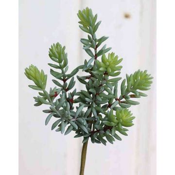 Kunst Pachyphytum hookeri LUDO auf Steckstab, grün-grau, 20cm, Ø12cm