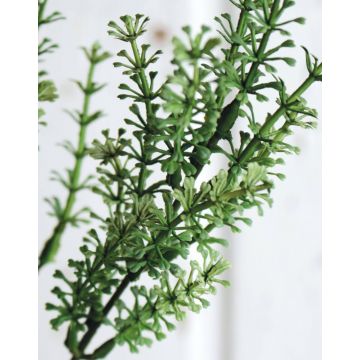 Künstlicher Thymian Zweig TARANTINO, grün, 65cm