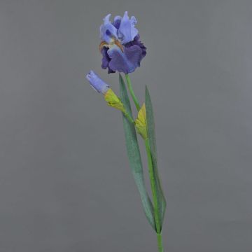 Künstliche Iris ALYSSA, blau, 70cm, Ø13cm Künstliche Iris ALYSSA, blau, 70cm, Ø13cm