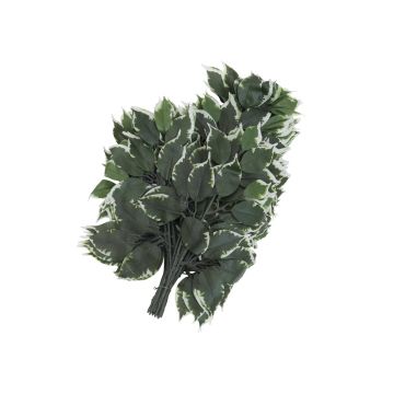 Künstlicher Ficus Benjamini Zweig SAKURA, 12 Stück, grün-weiß, 60cm