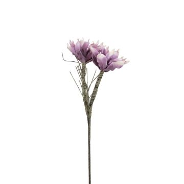 Kunststoffschaum Magnolie NEYLA, crossdoor, violett, 100cm, Ø12-14cm