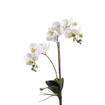Kunst Phalaenopsis Orchidee CANDIDA auf Steckstab, weiß, 65cm