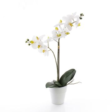 Kunst Phalaenopsis Orchidee CANDIDA im Keramiktopf, weiß, 65cm