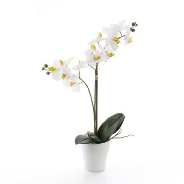 Kunstorchidee Phalaenopsis CANDIDA im Keramiktopf, weiß, 65cm