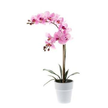 Kunstorchidee Phalaenopsis CANDIDA im Keramiktopf, rosa, 65cm