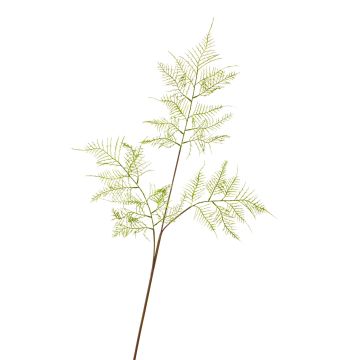 Künstlicher Asparagus plumosus Zweig FACUNDO, 75cm