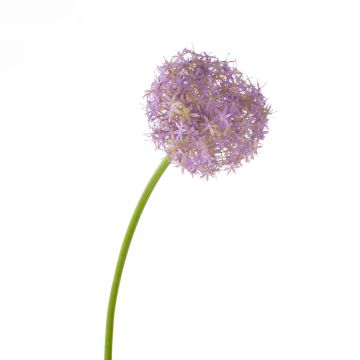 Künstlicher Allium SAMARA, lila, 75cm, Ø12cm