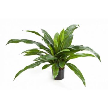 Kunstpflanze Nestfarn JANE, grün, 80cm, Ø80cm