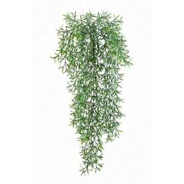 Kunststoff Asparagus sprengeri Hänger CAMILLA, Steckstab, 70cm