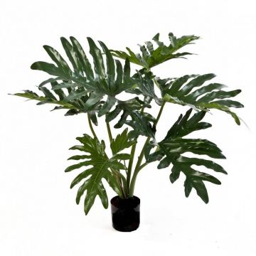 Kunstpflanze Philodendron Selloum LAINA, 60cm