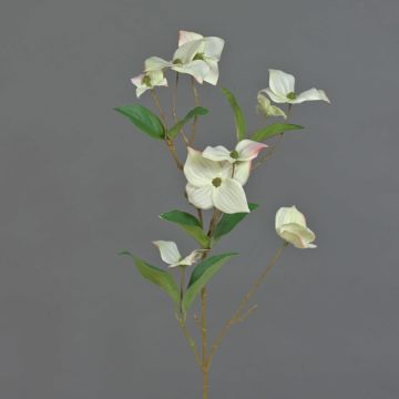 Unechter Zweig Japanischer Hartriegel KOHANA mit Blüten, creme, 65cm, Ø4-8cm