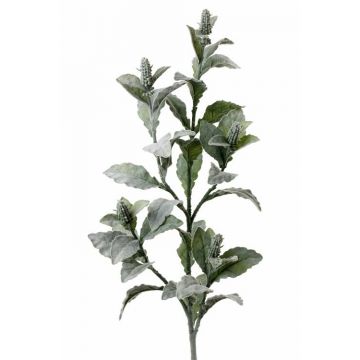 Kunstpflanze Eselsohr Zweig ODIL, grau-grün, 105cm