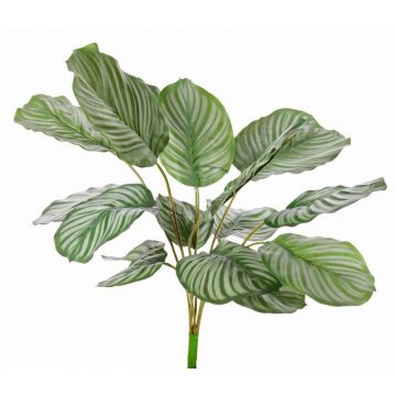 Kunststoff Calathea Orbifolia ZAIDA auf Steckstab, grün, 75cm