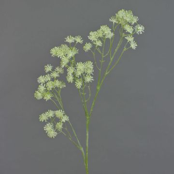 Kunstzweig Zimmeraralie YARED mit Blüten, creme-grün, 85cm, Ø2,5cm