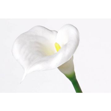 Kunstblume Calla CRESSIDA, weiß, 75cm, 14x15cm