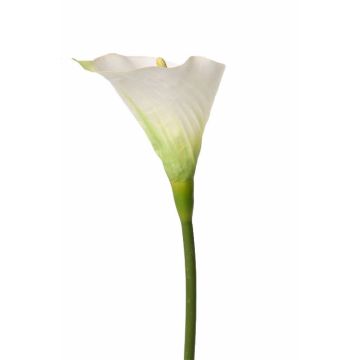 Kunstblume Calla OCARIN, weiß-grün, 80cm, 8x9cm