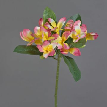 Künstliche Frangipani ALDAH, rosa-gelb-weiß, 75cm, Ø20cm