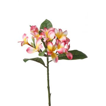 Künstliche Frangipani ALDAH, rosa-gelb, 70cm, Ø5cm