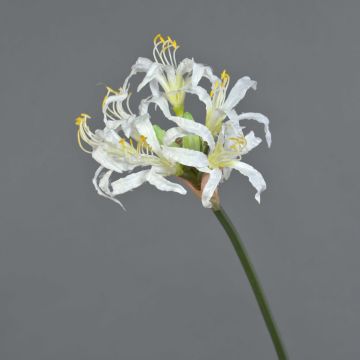 Gartenamaryllis künstlich MONJA, weiß, 70cm, Ø12cm