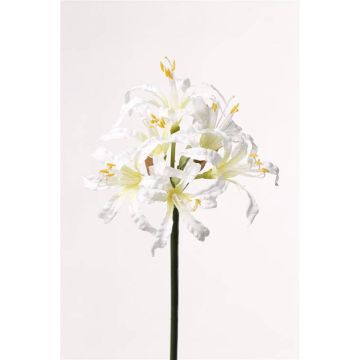 Kunst Gartenamaryllis MONJA, weiß, 70cm, Ø12cm