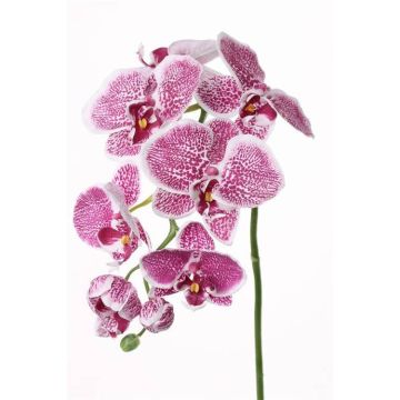 Künstlicher Phalaenopsis Orchideen Zweig CEDRA, violett-weiß, 75cm