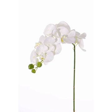 Textil Phalaenopsis Orchideen Zweig GALINA, creme, 45cm